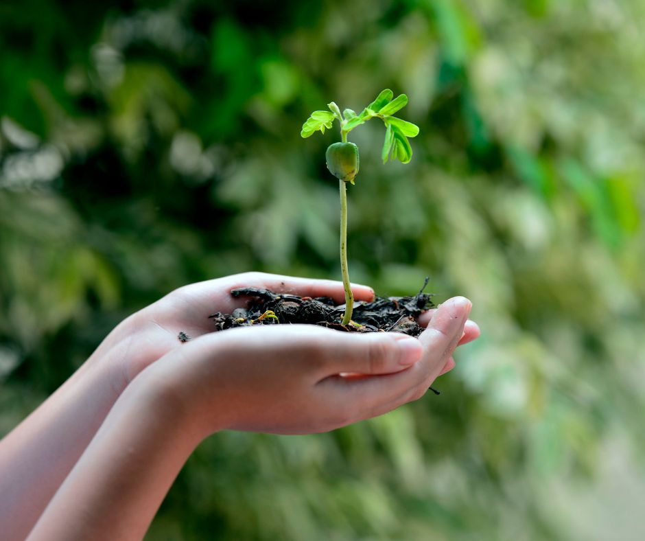 Feel Eco (2)